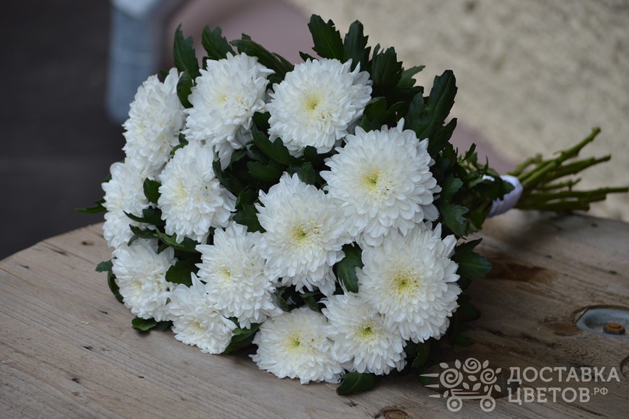 Букет Белые хризантемы